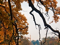 Zámek Lednice - podzimní zámecký park...